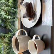 ヒメ日記 2026/05/22 14:55 投稿 島崎(しまざき) 人妻出逢い会 百合の園 品川店