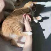 ヒメ日記 2025/03/04 15:15 投稿 りな フェチクラブ