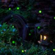 ヒメ日記 2025/06/05 01:28 投稿 紗栄（さえ） おふくろさんYO!!大和店