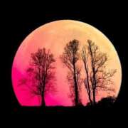 ヒメ日記 2025/06/12 01:48 投稿 紗栄（さえ） おふくろさんYO!!大和店