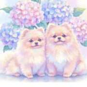 ヒメ日記 2025/06/13 00:38 投稿 紗栄（さえ） おふくろさんYO!!大和店