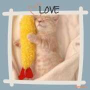 ヒメ日記 2025/07/14 23:48 投稿 紗栄（さえ） おふくろさんYO!!大和店