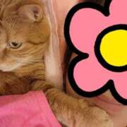 ヒメ日記 2025/07/22 02:08 投稿 紗栄（さえ） おふくろさんYO!!大和店