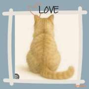 ヒメ日記 2025/07/26 05:18 投稿 紗栄（さえ） おふくろさんYO!!大和店