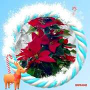 ヒメ日記 2025/11/20 01:38 投稿 紗栄（さえ） おふくろさんYO!!大和店