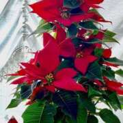 紗栄（さえ） ありがとうございました(*^^*) おふくろさんYO!!大和店