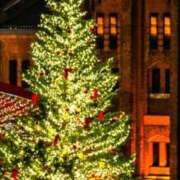 ヒメ日記 2025/12/19 01:18 投稿 紗栄（さえ） おふくろさんYO!!大和店