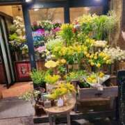 ヒメ日記 2026/03/14 01:28 投稿 紗栄（さえ） おふくろさんYO!!大和店