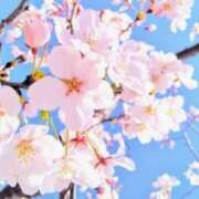 ヒメ日記 2026/03/19 05:48 投稿 紗栄（さえ） おふくろさんYO!!大和店