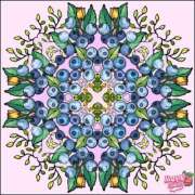 ヒメ日記 2025/02/08 11:11 投稿 みほ 水戸デブ専肉だんご＆人妻浮気現場