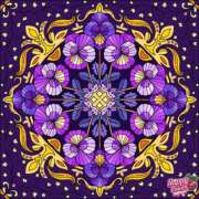 ヒメ日記 2025/11/22 14:52 投稿 みほ 水戸デブ専肉だんご＆人妻浮気現場