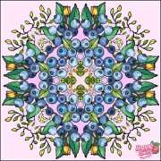 ヒメ日記 2025/11/29 19:22 投稿 みほ 水戸デブ専肉だんご＆人妻浮気現場