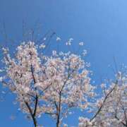 みほ ??????????????????????????? 水戸デブ専肉だんご＆人妻浮気現場