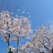 みほ ??????????????? 水戸デブ専肉だんご＆人妻浮気現場