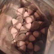 ヒメ日記 2025/03/21 10:50 投稿 まい R（アール）