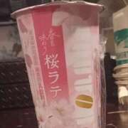 ヒメ日記 2026/03/24 10:55 投稿 まい R（アール）