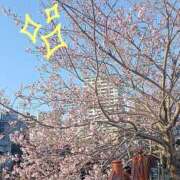 ヒメ日記 2026/04/09 10:50 投稿 まい R（アール）