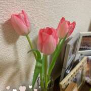 ヒメ日記 2025/01/05 08:00 投稿 なな R（アール）