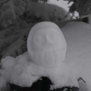 ヒメ日記 2025/01/08 09:55 投稿 なな R（アール）