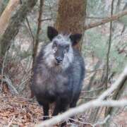 ヒメ日記 2025/01/26 09:55 投稿 なな R（アール）