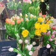 ヒメ日記 2025/01/30 14:35 投稿 なな R（アール）