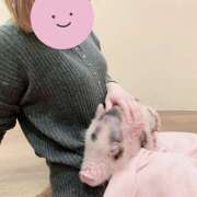 ヒメ日記 2025/03/16 17:30 投稿 なな R（アール）