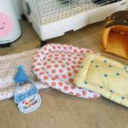 ヒメ日記 2025/03/25 17:55 投稿 なな R（アール）