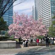 ヒメ日記 2025/03/28 09:30 投稿 なな R（アール）