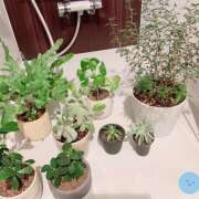 ヒメ日記 2025/04/05 06:55 投稿 なな R（アール）