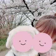 ヒメ日記 2025/04/09 09:15 投稿 なな R（アール）