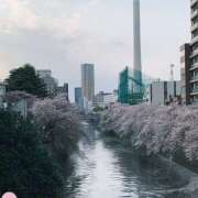 ヒメ日記 2025/04/13 10:00 投稿 なな R（アール）