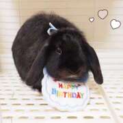 ヒメ日記 2025/04/15 10:10 投稿 なな R（アール）