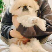 ヒメ日記 2025/04/21 07:40 投稿 なな R（アール）