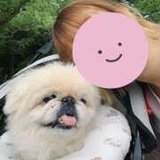 ヒメ日記 2025/04/28 19:50 投稿 なな R（アール）