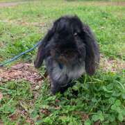 ヒメ日記 2025/05/09 18:55 投稿 なな R（アール）