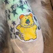 ヒメ日記 2025/05/20 12:35 投稿 なな R（アール）