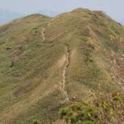 ヒメ日記 2025/06/12 06:35 投稿 なな R（アール）