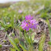ヒメ日記 2025/06/13 23:40 投稿 なな R（アール）