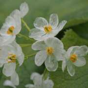 ヒメ日記 2025/06/27 15:00 投稿 なな R（アール）