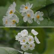 ヒメ日記 2025/06/30 07:30 投稿 なな R（アール）