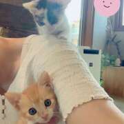 ヒメ日記 2025/07/05 08:05 投稿 なな R（アール）