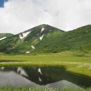 ヒメ日記 2025/07/25 07:20 投稿 なな R（アール）