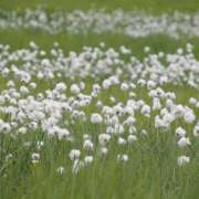 ヒメ日記 2025/07/26 08:50 投稿 なな R（アール）