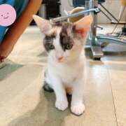 ヒメ日記 2025/08/02 08:30 投稿 なな R（アール）