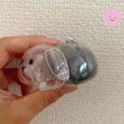 ヒメ日記 2025/08/27 07:30 投稿 なな R（アール）