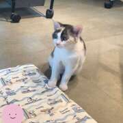 ヒメ日記 2025/08/31 09:30 投稿 なな R（アール）