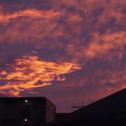 ヒメ日記 2025/09/04 07:50 投稿 なな R（アール）