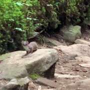 ヒメ日記 2025/09/05 12:30 投稿 なな R（アール）