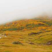 ヒメ日記 2025/10/09 15:45 投稿 なな R（アール）