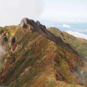 ヒメ日記 2025/10/16 11:35 投稿 なな R（アール）